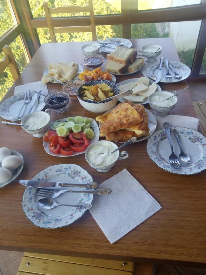 Guesthouse Data Mestia Zewnętrze zdjęcie