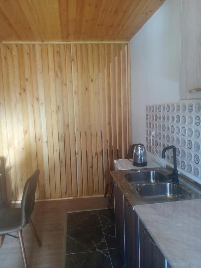 Guesthouse Data Mestia Zewnętrze zdjęcie