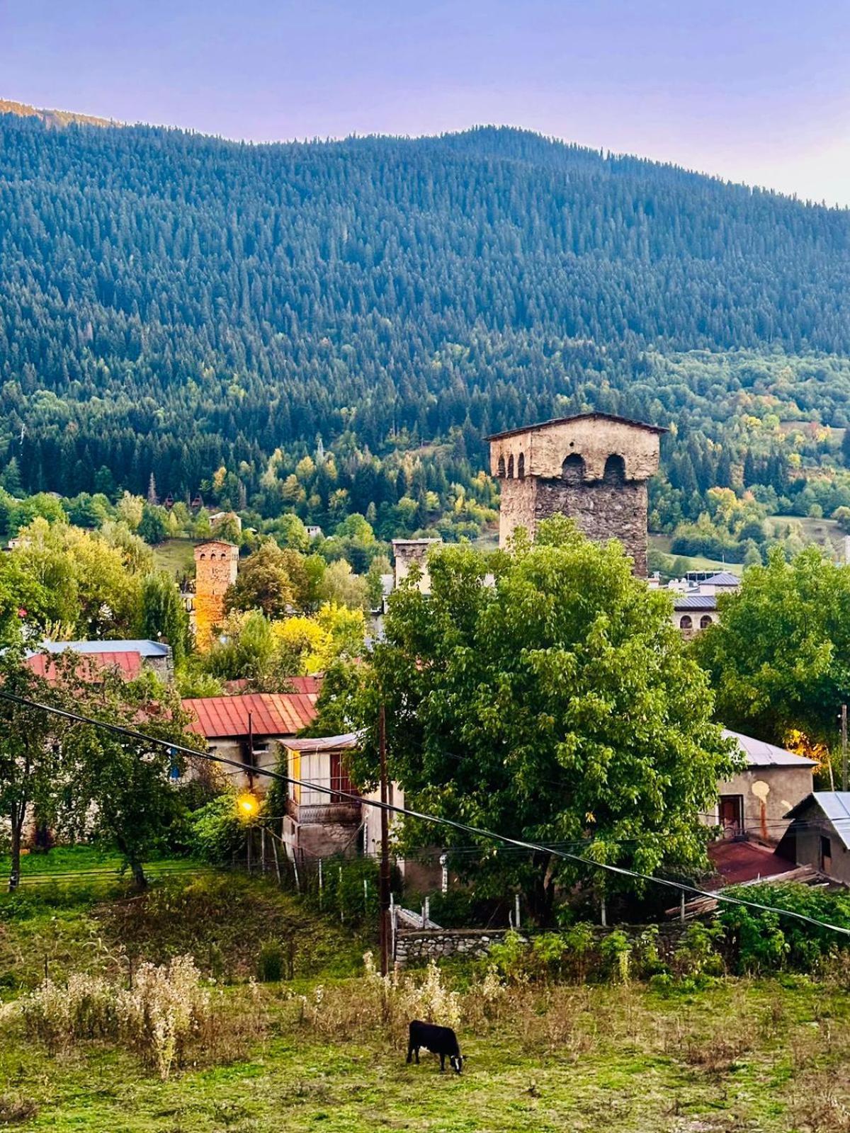 Guesthouse Data Mestia Zewnętrze zdjęcie